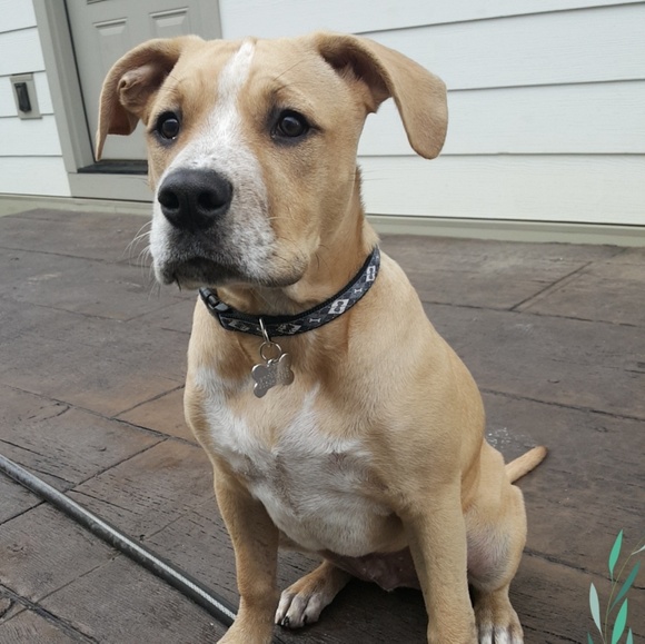 Meet your Posher, Becky - Picture 2 of 3